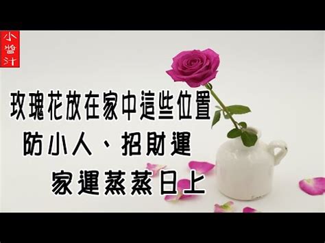 玫瑰海棠風水|風水師推薦：玫瑰擺放